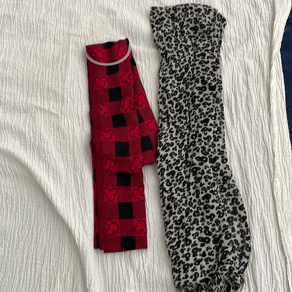 Set of 2 Disney Parks scarves